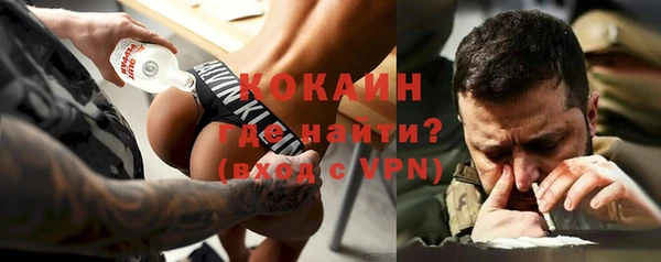 крисы Абаза