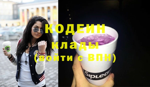 крисы Абаза