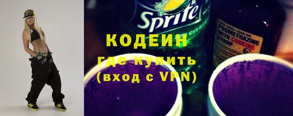 крисы Абаза