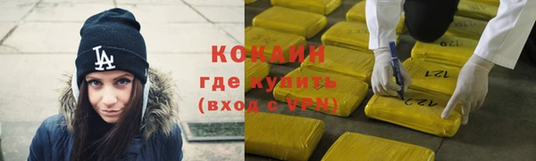 крисы Абаза